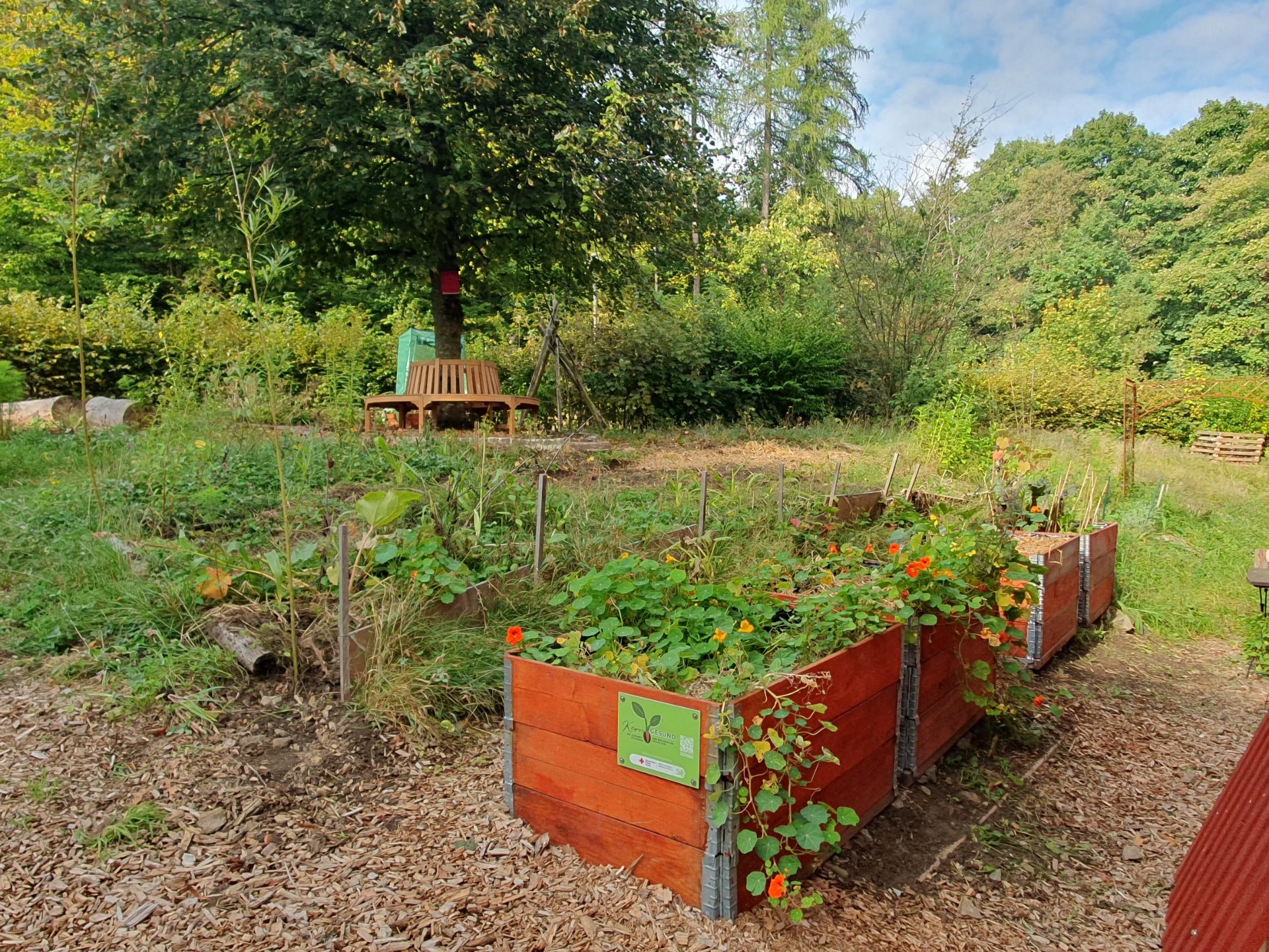 Im November feiert unser Schulgarten einjähriges Jubiläum!